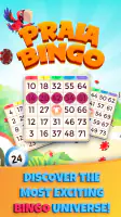Praia Bingo - Bingo Games screenshot
