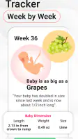 Pregnancy Calculator: Due Date screenshot