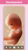 Pregnancy + | Tracker App screenshot