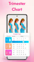Pregnancy Tracker & Calculator screenshot