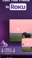 Roku Screen Mirror & Cast TV screenshot