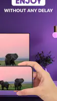 Roku Screen Mirror & Cast TV screenshot