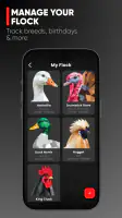 RUN-CHICKEN screenshot