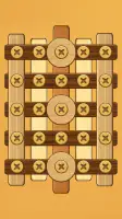 Screw Puzzle: Wood Nut & Bolt™ screenshot