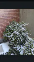 Secure Camera screenshot