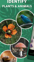 Seek by iNaturalist screenshot