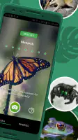Seek by iNaturalist screenshot