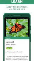 Seek by iNaturalist screenshot