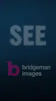 SEE's Michelangelo's Sistine screenshot