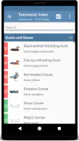 Sibley Birds 2nd Edition screenshot