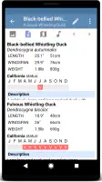 Sibley Birds 2nd Edition screenshot