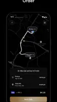 Tesla Robotaxi screenshot