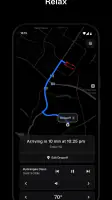 Tesla Robotaxi screenshot