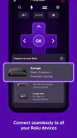 The Roku App (Official) screenshot