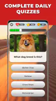 Triviascapes: IQ & brain test screenshot