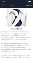 True Tie: Tie Knot Guide screenshot