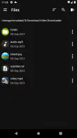 Video Downloader Pro screenshot