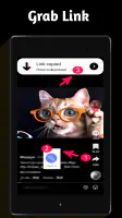 Video Downloader TSaver screenshot
