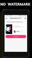 Video Downloader TSaver screenshot