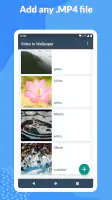 Video (.GIF;.MP4) to Wallpaper screenshot