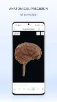 VOKA 3D Anatomy and Physiology screenshot
