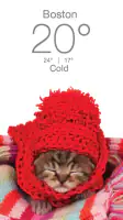Weather Kitty - App & Widget screenshot