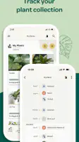 Willow screenshot