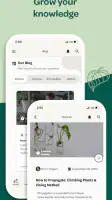 Willow screenshot