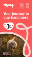 Zigzag - Dog & Puppy Training screenshot